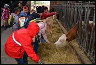 Schule am Bauernhof beim Wallerbauern in Wrgl am 16. Oktober 2019. Foto: Veronika Spielbichler