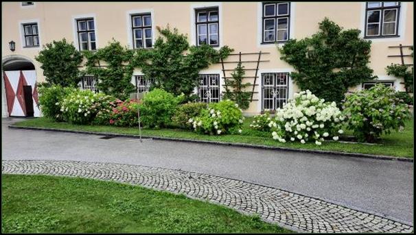 Ist mglicherweise ein Bild von Kapkrbchen und Natur